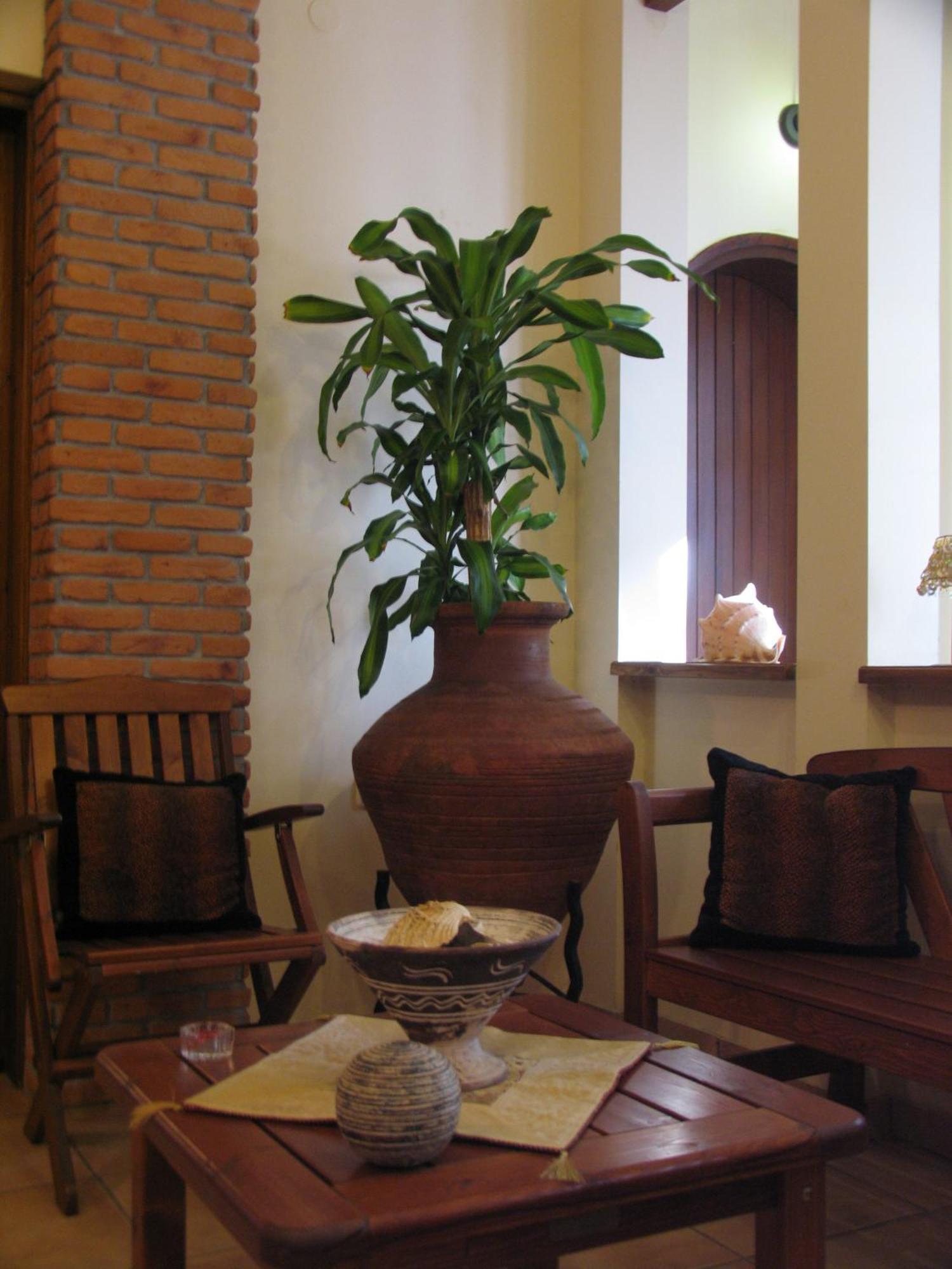 Katia Hotel Áfissos Esterno foto